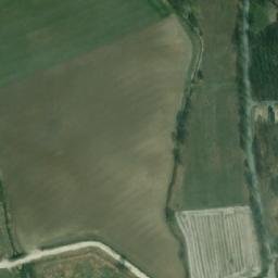 Satelita