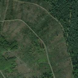 Satellite imagery of Selterberg, DE