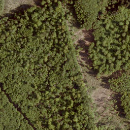 Satellite imagery of Hattenberg, DE
