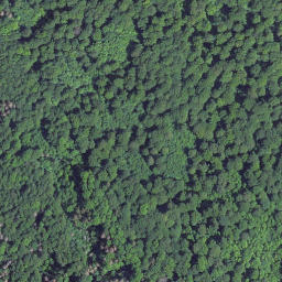 Satellite imagery of Stallberg, DE