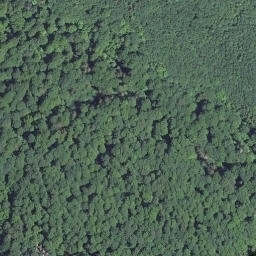 Satellite imagery of Stallberg, DE