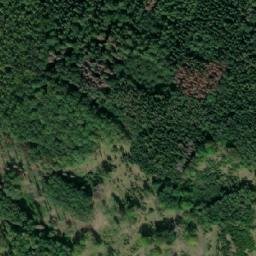 Satellite imagery of Dvorský kopec, CZ