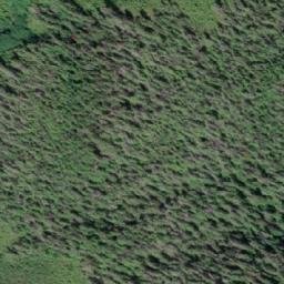 Satellite imagery of Saddle Hill, CA