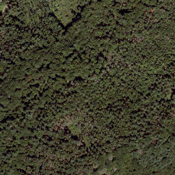 Satellite imagery of Struberg, DE