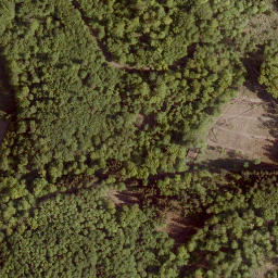 Satellite imagery of Hattenberg, DE