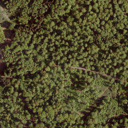 Satellite imagery of Hattenberg, DE
