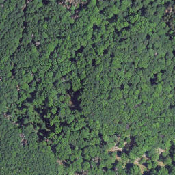 Satellite imagery of Stallberg, DE