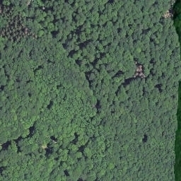 Satellite imagery of Stallberg, DE