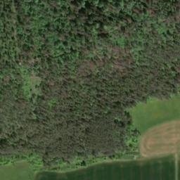Satellite imagery of Cossau, DE