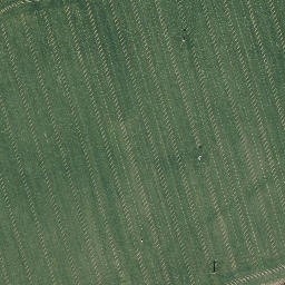 Satellite imagery of Mühlberg, DE