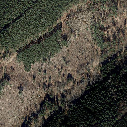 Satellite imagery of Elsterberg, DE