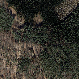 Satellite imagery of Scheitberg, DE