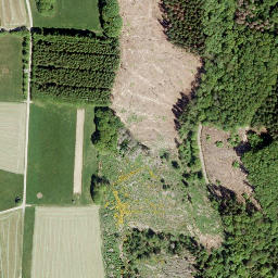Satellite imagery of Bussenberg, DE