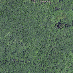 Satellite imagery of Stallberg, DE