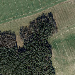 Satellite imagery of Mühlberg, DE