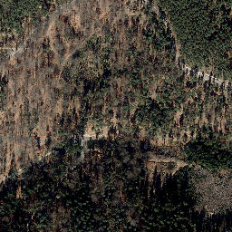 Satellite imagery of Scheitberg, DE