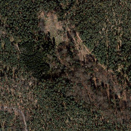 Satellite imagery of Trig point near Pößneck, Thuringia (DE), DE