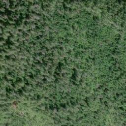 Satellite imagery of Sallie Point, CA