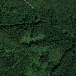 Satellite imagery of Kuhkopf, DE
