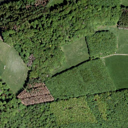 Satellite imagery of Bussenberg, DE