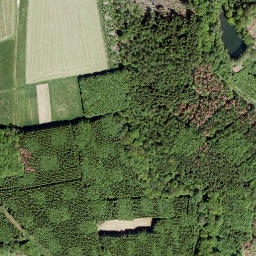 Satellite imagery of Bussenberg, DE