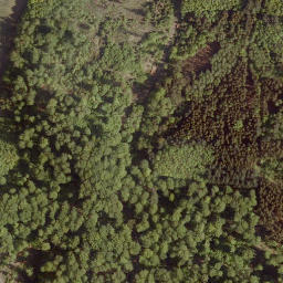Satellite imagery of Leidenhöfer Kopf, DE