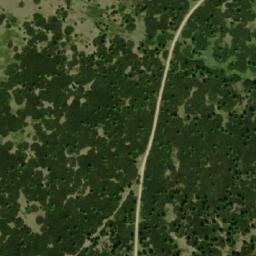 Satellite imagery of Zadni Planina, CZ