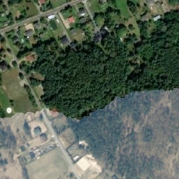 Satelita