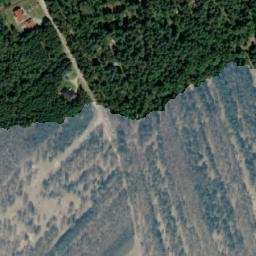 Satelita