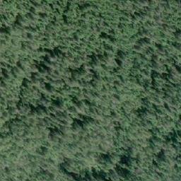 Satellite imagery of Sallie Point, CA