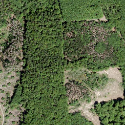 Satellite imagery of Bussenberg, DE