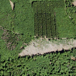 Satellite imagery of Bussenberg, DE