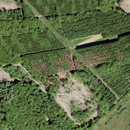 Satellite imagery of Bussenberg, DE