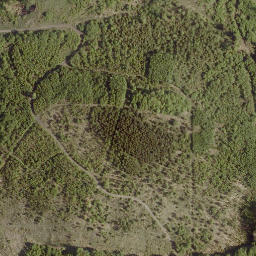Satellite imagery of Leidenhöfer Kopf, DE