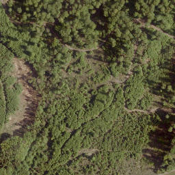 Satellite imagery of Leidenhöfer Kopf, DE