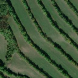 Satellite imagery of Kohout, CZ