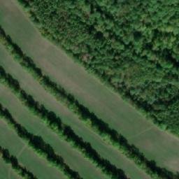 Satellite imagery of Kohout, CZ