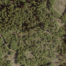 Satellite imagery of Leidenhöfer Kopf, DE