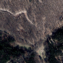 Satellite imagery of Stillerstein, DE