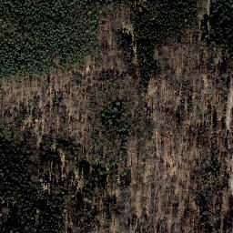 Satellite imagery of Teufelsberg, DE