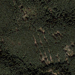 Satellite imagery of Sorgenberg, DE