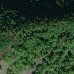 Satellite imagery of Kamenec [Merboltice], CZ