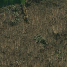 Satellite imagery of Thalenberg, DE