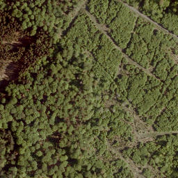 Satellite imagery of Eiselberg, DE