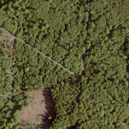 Satellite imagery of Eiselberg, DE