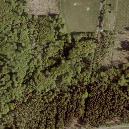 Satellite imagery of Eiselberg, DE