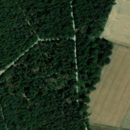 Satellite imagery of Witzelshöhe, DE