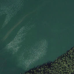 Satellite imagery of Dickinson Point, CA
