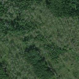 Satellite imagery of Stegskopf, DE