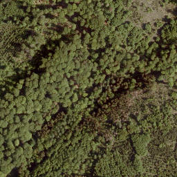 Satellite imagery of Eiselberg, DE